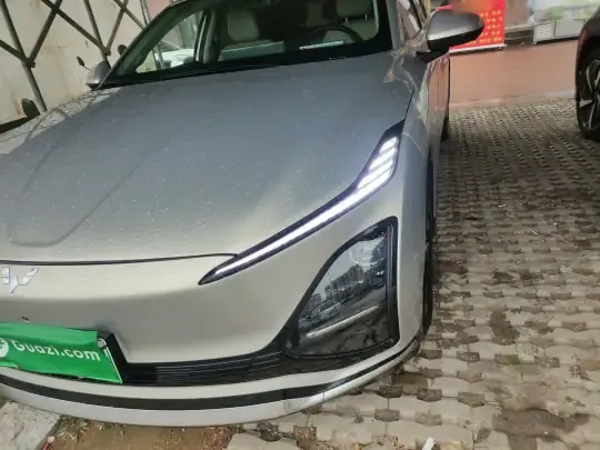 Wuling Xingguang 2024 (24900 км)