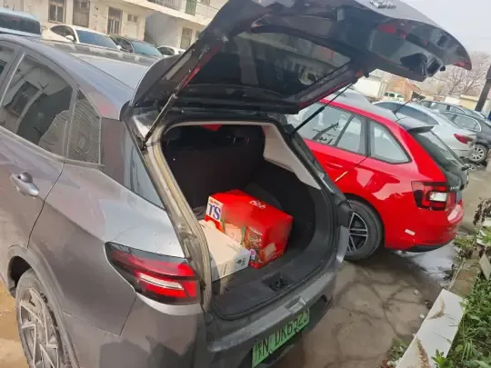 NETA AYA 2023 (42000 км)