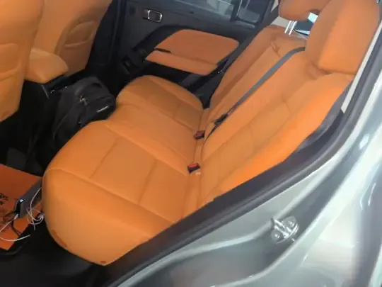 Haval Raptor New Energy 2023 (55600 км)