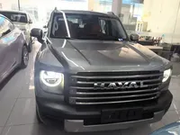 Haval Raptor New Energy 2023 (55600 км)