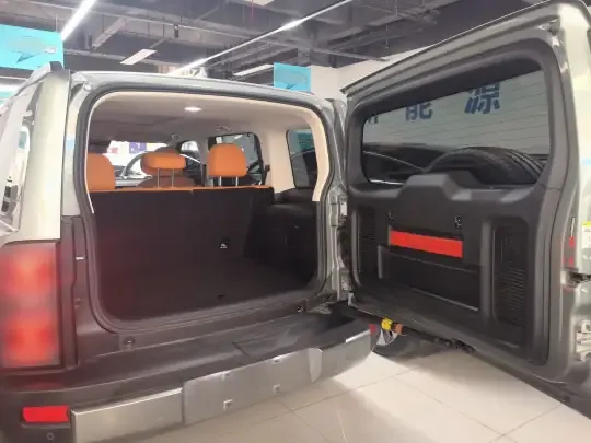 Haval Raptor New Energy 2023 (55600 км)