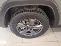 Haval Raptor New Energy 2023 (55600 км)