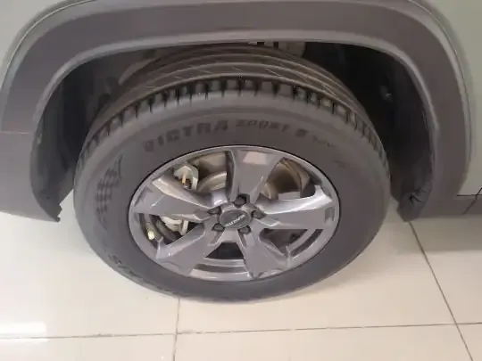 Haval Raptor New Energy 2023 (55600 км)