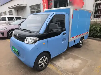 REACH MINI Truck 2023 (7100 км)