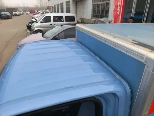 REACH MINI Truck 2023 (7100 км)