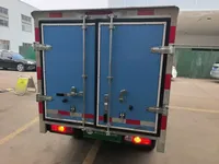 REACH MINI Truck 2023 (7100 км)