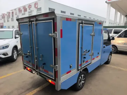 REACH MINI Truck 2023 (7100 км)