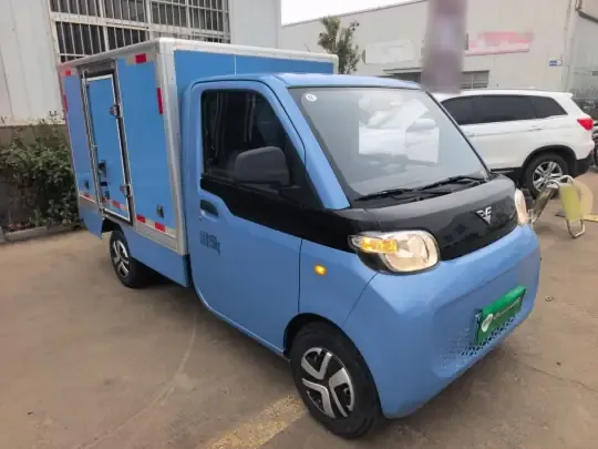 REACH MINI Truck 2023 (7100 км)