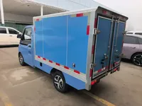 REACH MINI Truck 2023 (7100 км)