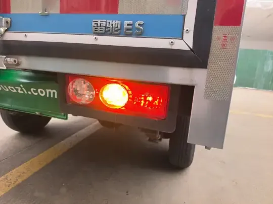 REACH MINI Truck 2023 (7100 км)