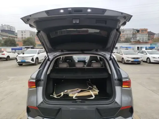 BYD Yuan PLUS 2023 (24900 км)