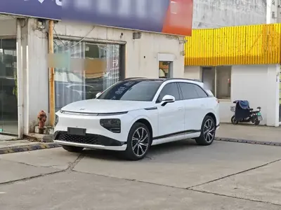 XPeng G9 2024 (31400 км)