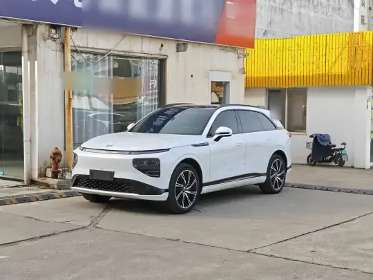 XPeng G9 2024 (31400 км)