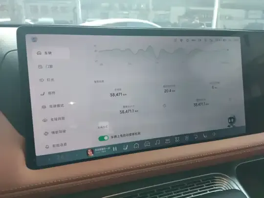 XPeng G9 2024 (38500 км)