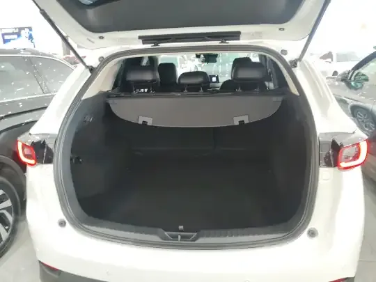 Mazda CX-5 2024 (8000 км)