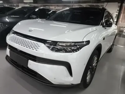 Leapmotor C11 2023 (24700 км)