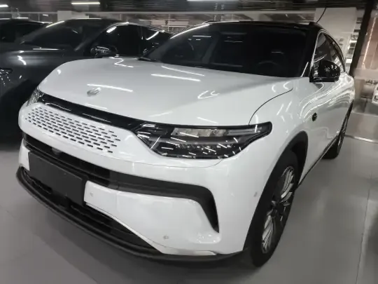 Leapmotor C11 2023 (24700 км)
