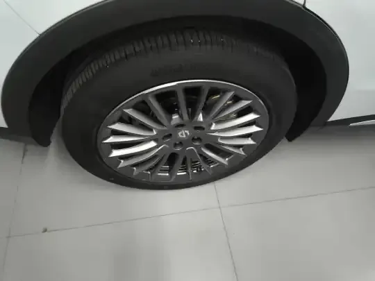 Leapmotor C11 2023 (24700 км)