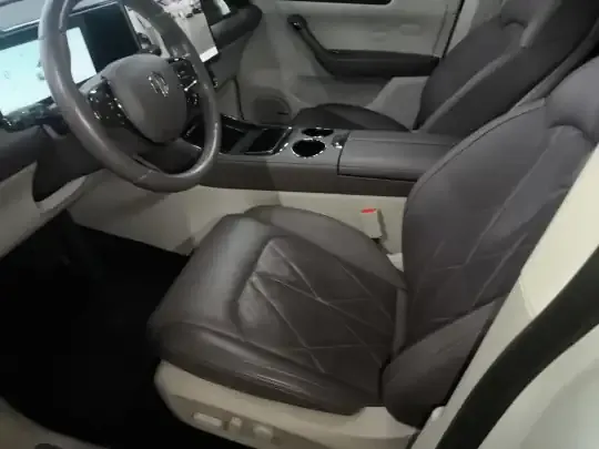 Leapmotor C11 2023 (24700 км)