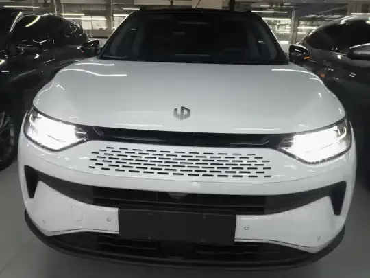 Leapmotor C11 2023 (24700 км)