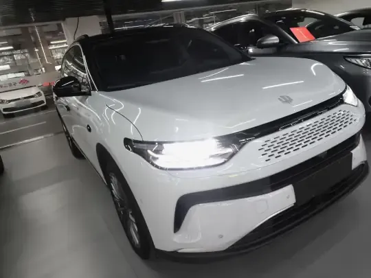 Leapmotor C11 2023 (24700 км)