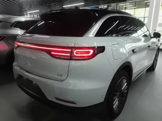 Leapmotor C11 2023 (24700 км)