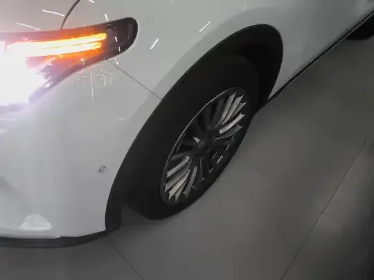 Leapmotor C11 2023 (24700 км)