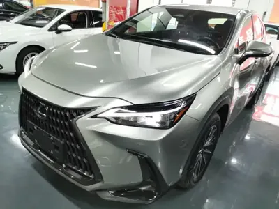 Lexus NX 2023 (27100 км)