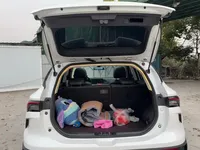 FORTHING T5 EVO 2024 (31500 км)