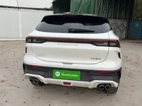 FORTHING T5 EVO 2024 (31500 км)