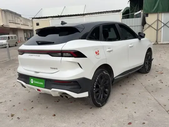 FORTHING T5 EVO 2024 (31500 км)