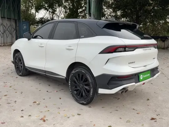 FORTHING T5 EVO 2024 (31500 км)