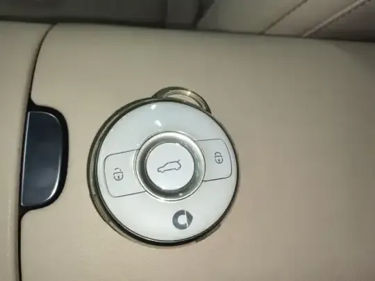 smart #1 2024 (11700 км)