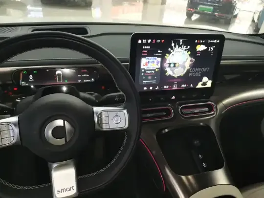 smart #1 2024 (11700 км)