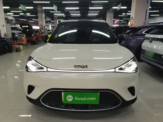 smart #1 2024 (11700 км)