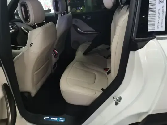 smart #1 2024 (11700 км)