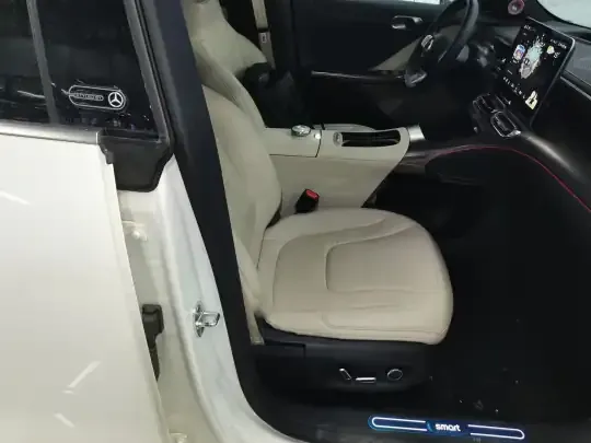 smart #1 2024 (11700 км)
