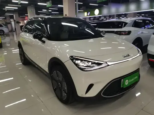 smart #1 2024 (11700 км)