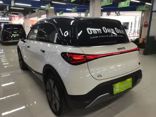 smart #1 2024 (11700 км)