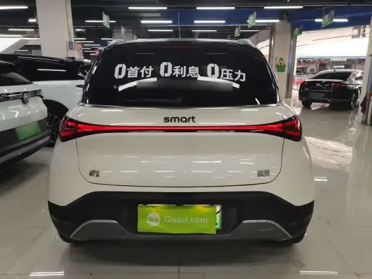 smart #1 2024 (11700 км)