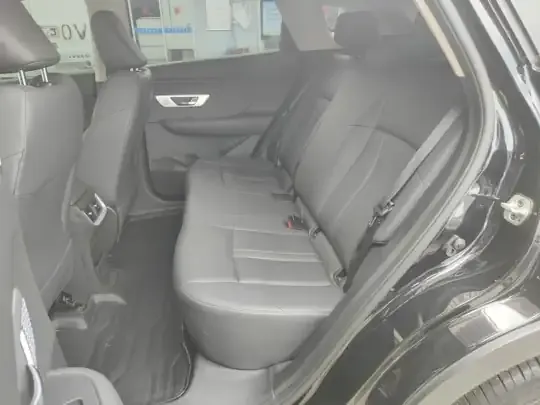 Dongfeng Aeolus Huge 2024 (38300 км)