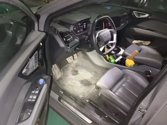 Audi Q4 e-tron 2024 (39200 км)