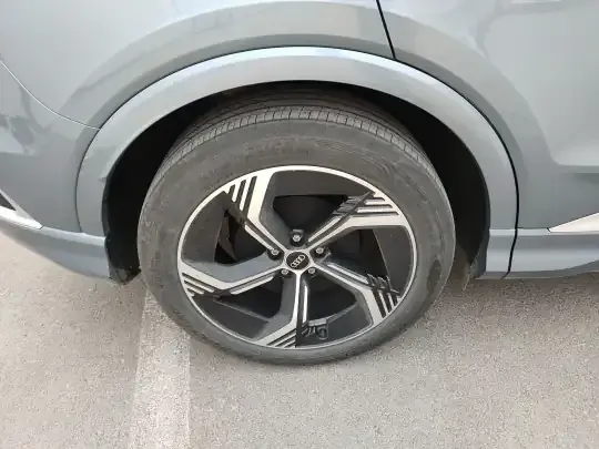Audi Q4 e-tron 2024 (5800 км)