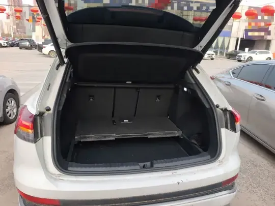 Audi Q4 e-tron 2024 (47699 км)