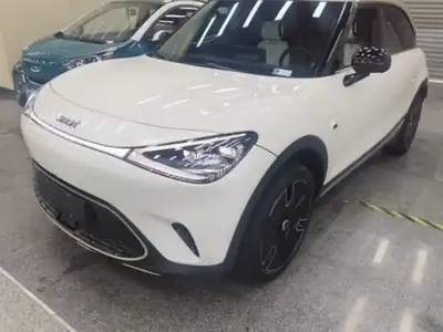 smart #1 2024 (33100 км)