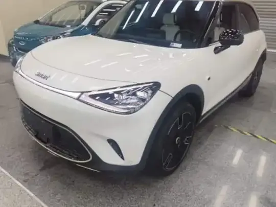 smart #1 2024 (33100 км)