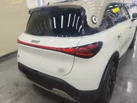 smart #1 2024 (33100 км)