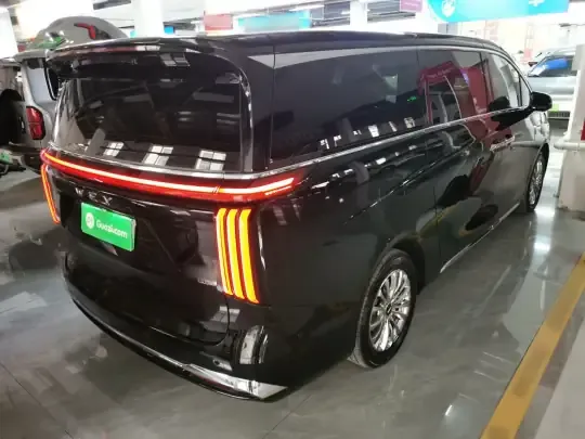 Wey Gaoshan 2023 (14900 км)