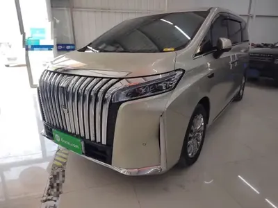 Wey Gaoshan 2023 (36100 км)