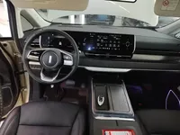 Wey Gaoshan 2023 (36100 км)